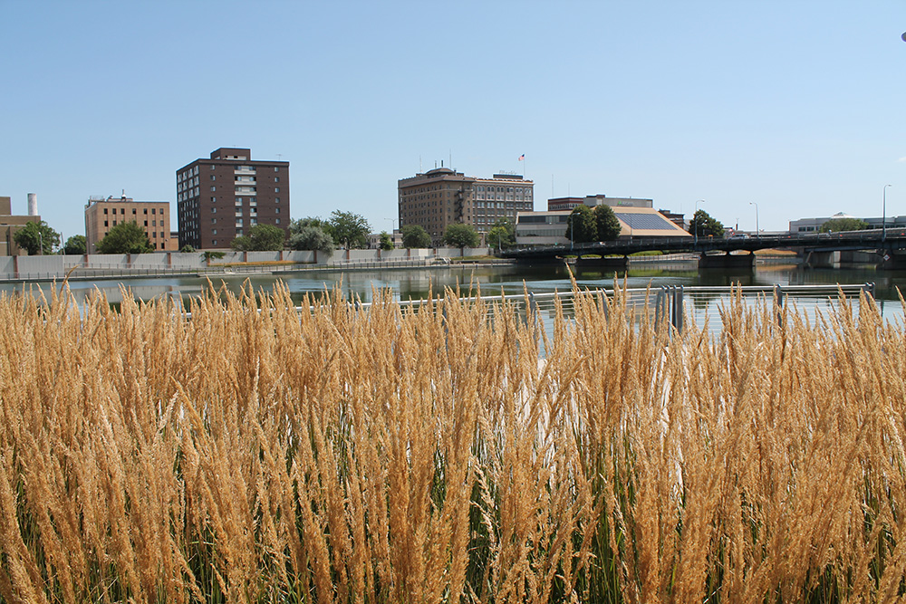 Image of downtown Waterloo, Iowa.